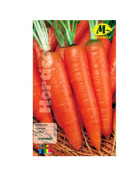 SEMILLAS ZANAHORIA CHANTENAY ROYAL -MAXI-